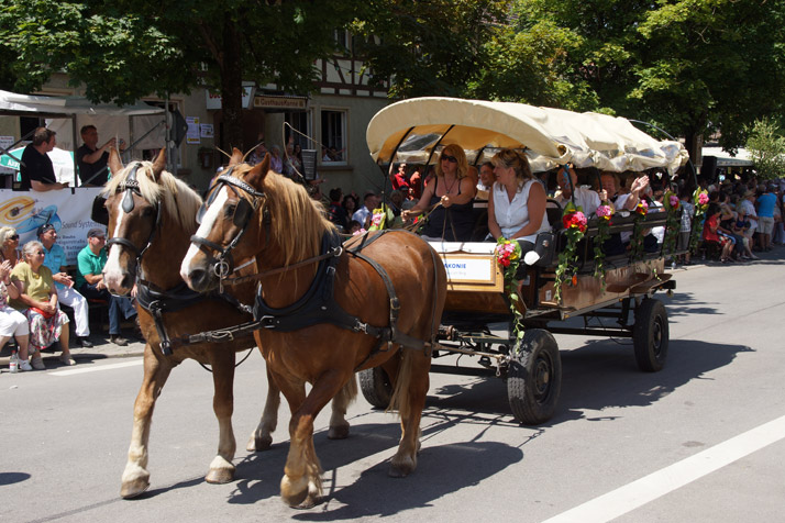 Dorffest Trichtingen
